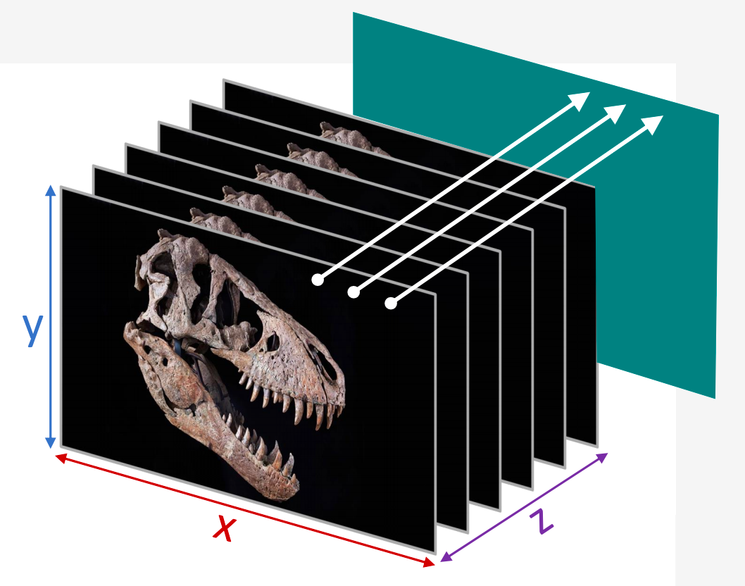 Image Filters, Projections and Slices